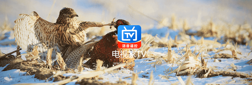 电视家TV v3.4.38 去除广告特别版-中国漫画网