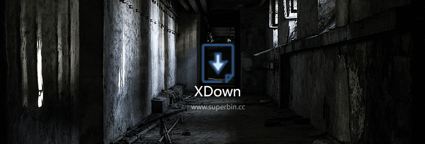 Xdown v2.0.1.8 多线程下载利器 免费无广告!-中国漫画网