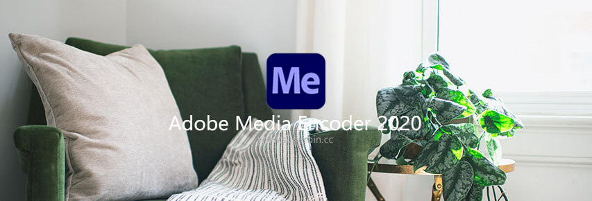 Adobe Media Encoder 2020 14.8.0 特别版-中国漫画网